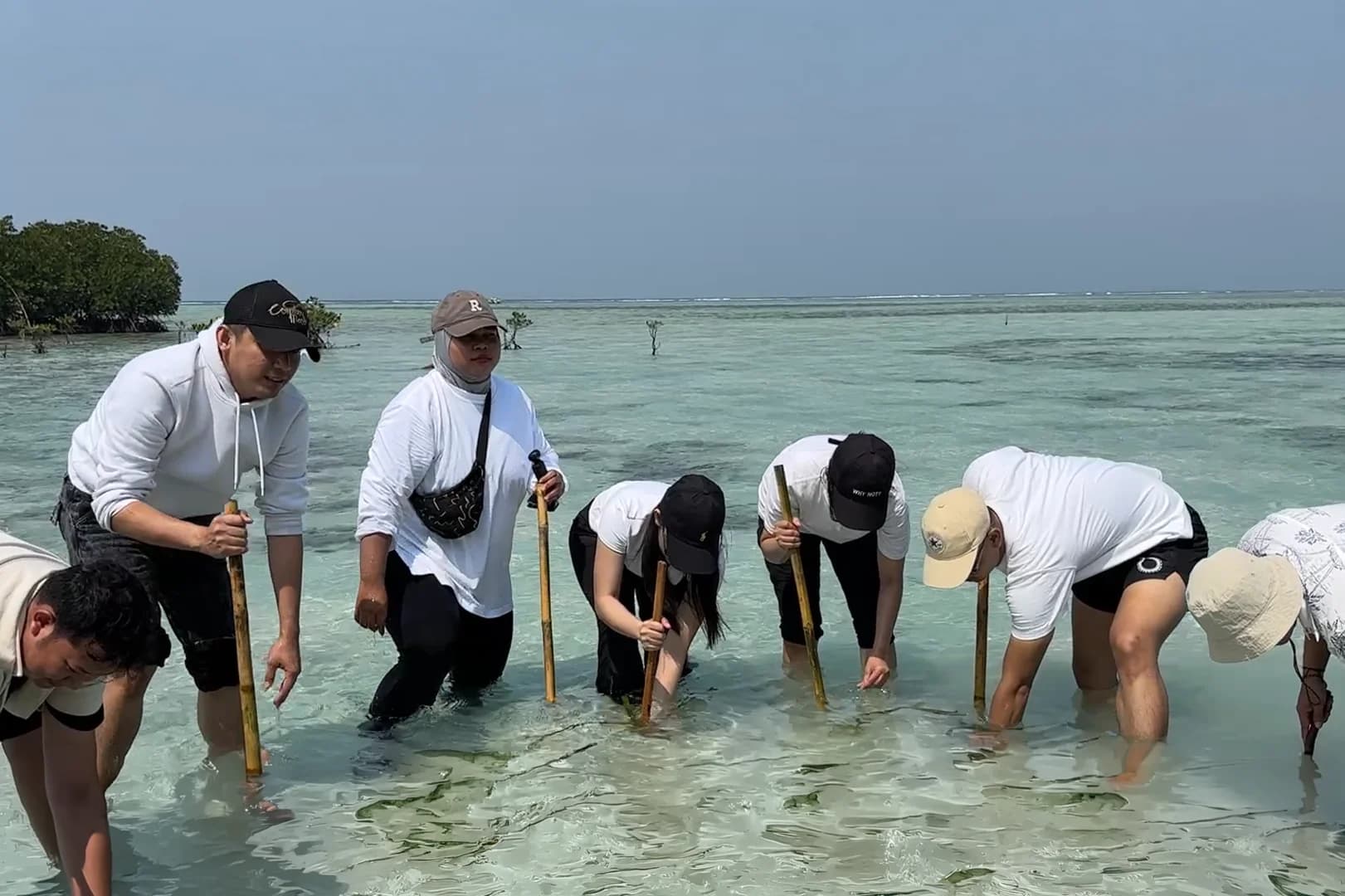 PT SPIL Dukung Pelestarian Ekosistem Laut melalui Penanaman Lamun Bersama Greeners Jakarta